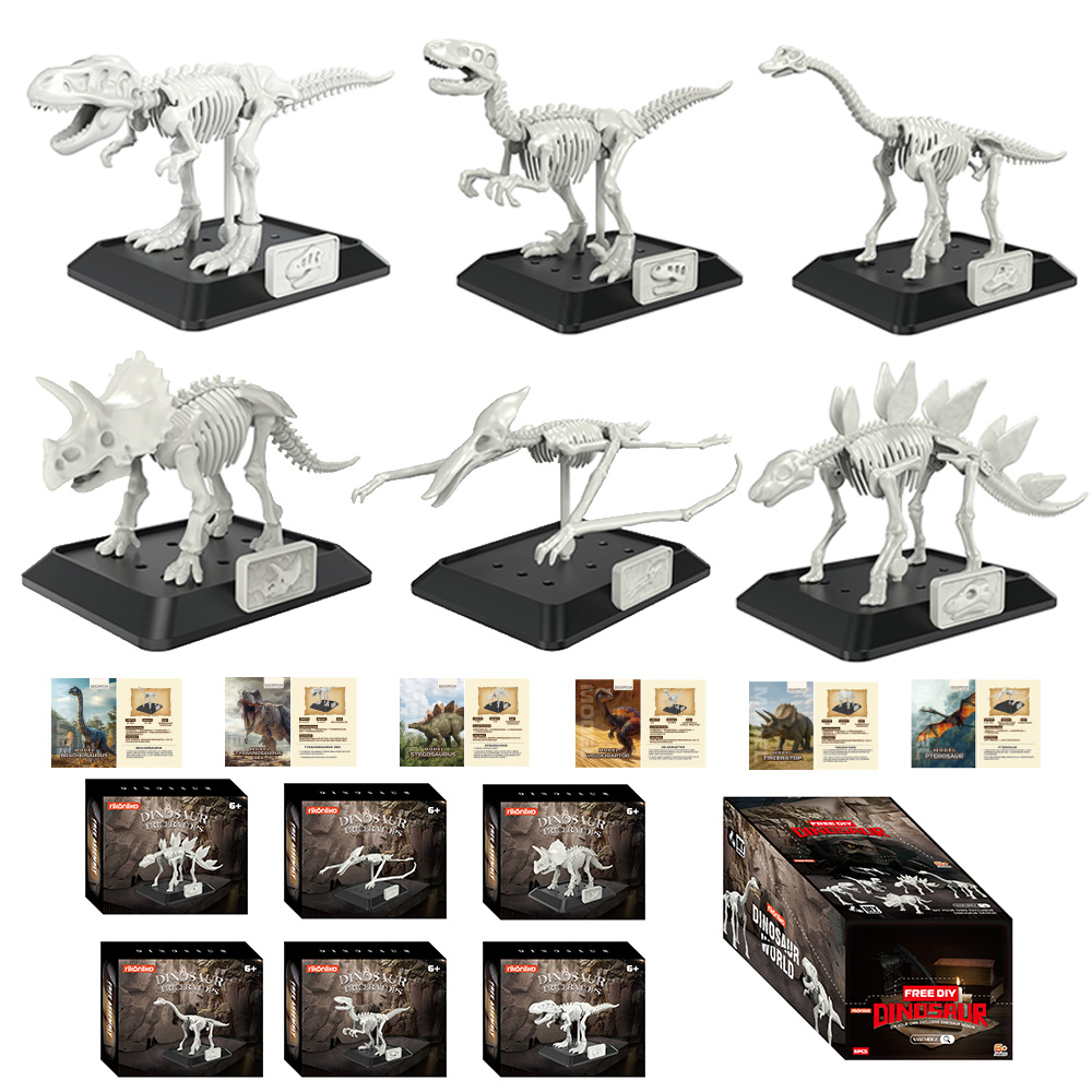 Model Kit Dinosaur - ชุดประกอบโครงกระดูกไดโนเสาร์จำลอง ทำจากพลาสติก สำหรับเด็ก ชุดประกอบโครงกระดูกไดโนเสาร์ทำเอง ไทแรนโนซอรัส เร็กซ์