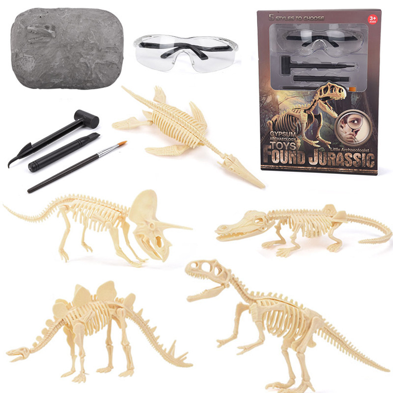 Model Kit Dinosaur - ชุดขุดค้นฟอสซิลไดโนเสาร์ STEM ของเล่นโมเดลโครงกระดูกไดโนเสาร์ ของขวัญวิทยาศาสตร์เพื่อการศึกษาสำหรับเด็กชายและเด็กหญิง