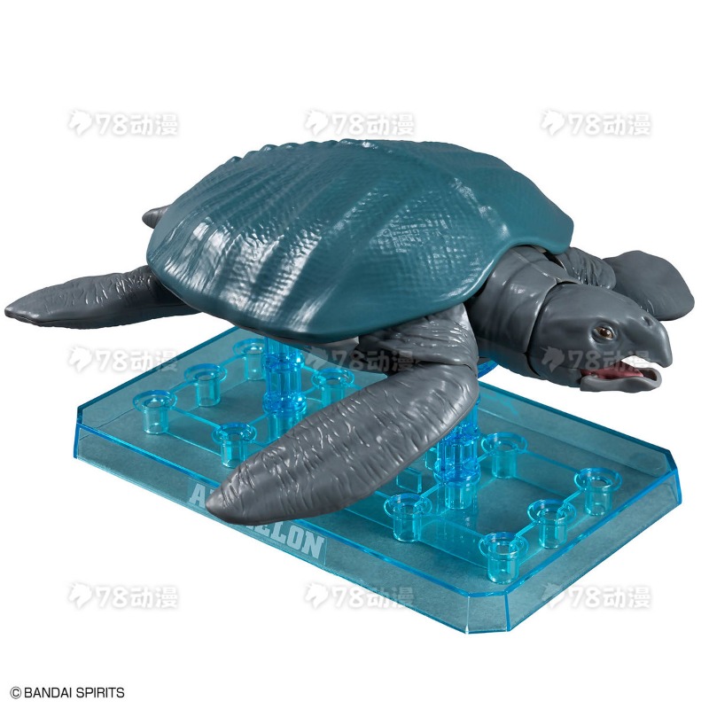 ชุดโมเดลของแท้จาก Bandai แพลโน - Model Kit Dinosaur บทวิจารณ์และราคา